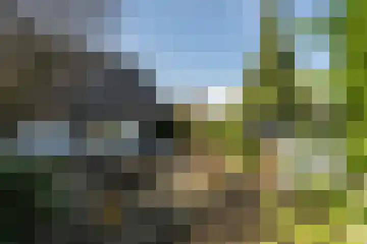 Oudstraat 14 Landgraaf thumbnail 19