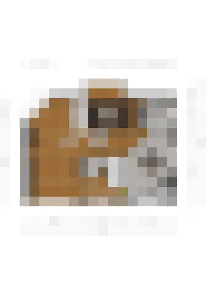 Oudstraat 14 Landgraaf thumbnail 25