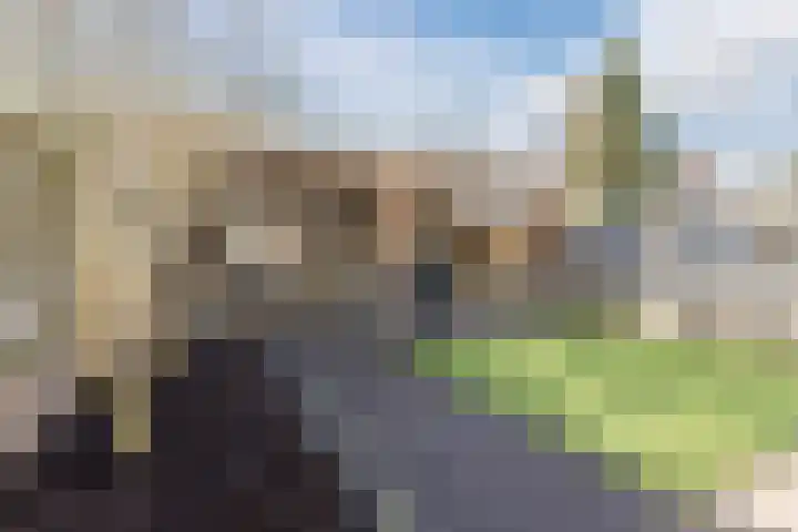 Oudstraat 8 Dongen thumbnail 19