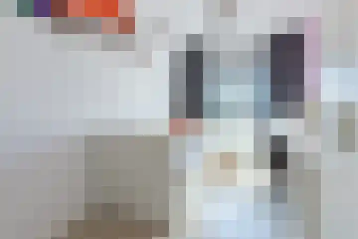 Oudstraat 8 Dongen thumbnail 29