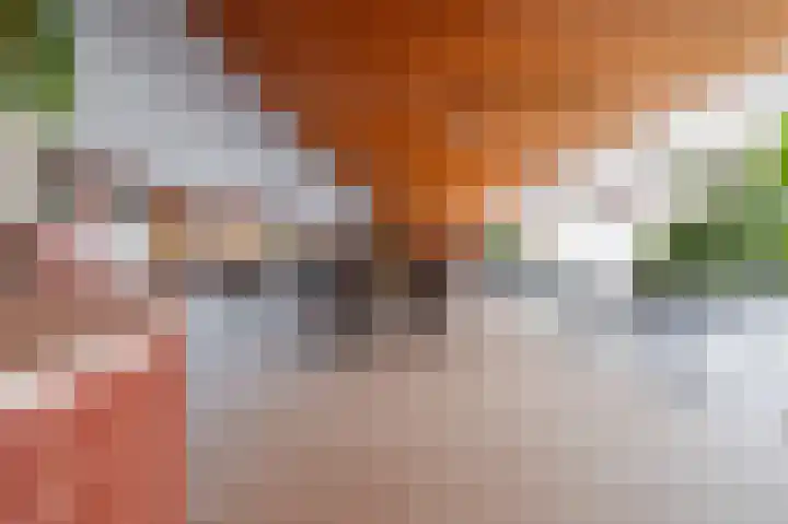 Ouverture 46 Eindhoven thumbnail 40