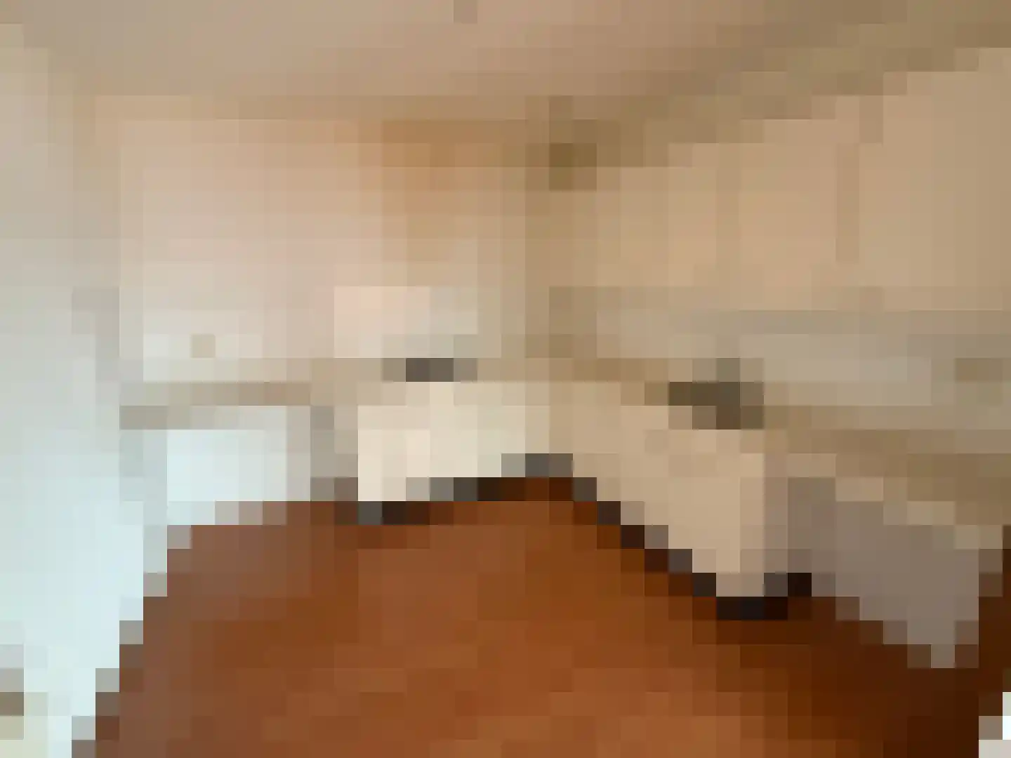 Ouverture 55 Eindhoven thumbnail 9