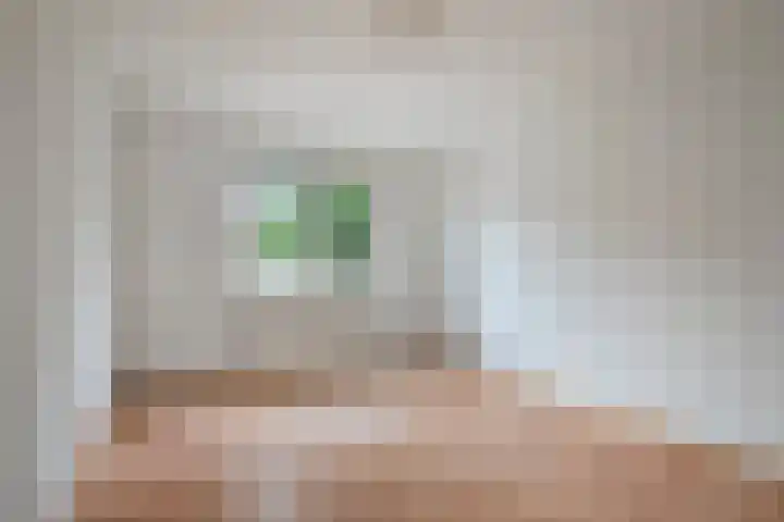 Ouverturestraat 28 Venray thumbnail 13