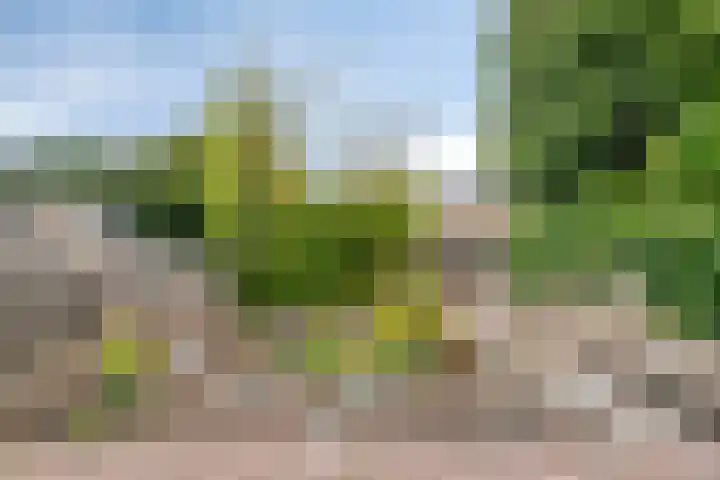 Ouverturestraat 28 Venray thumbnail 26