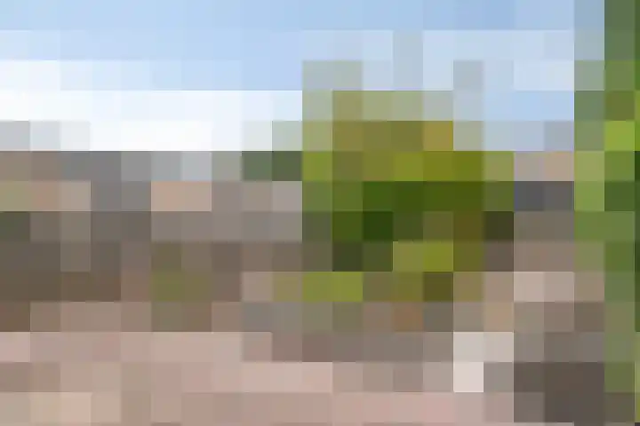 Ouverturestraat 28 Venray thumbnail 27