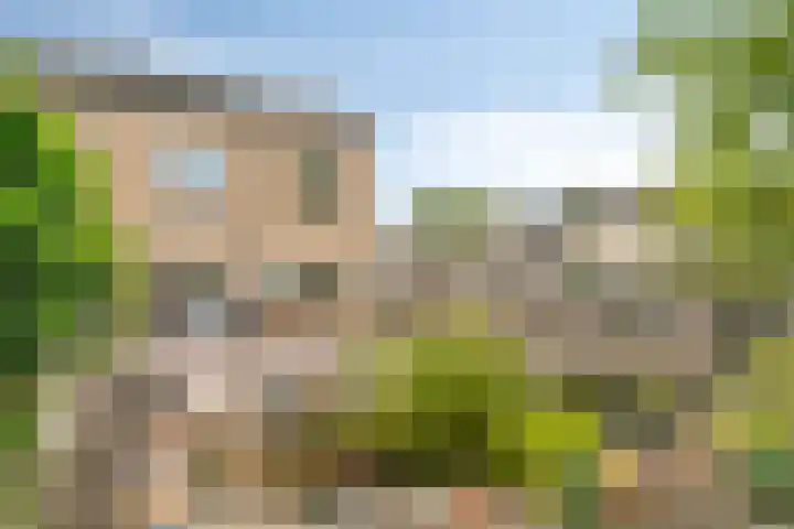 Ouverturestraat 28 Venray thumbnail 29
