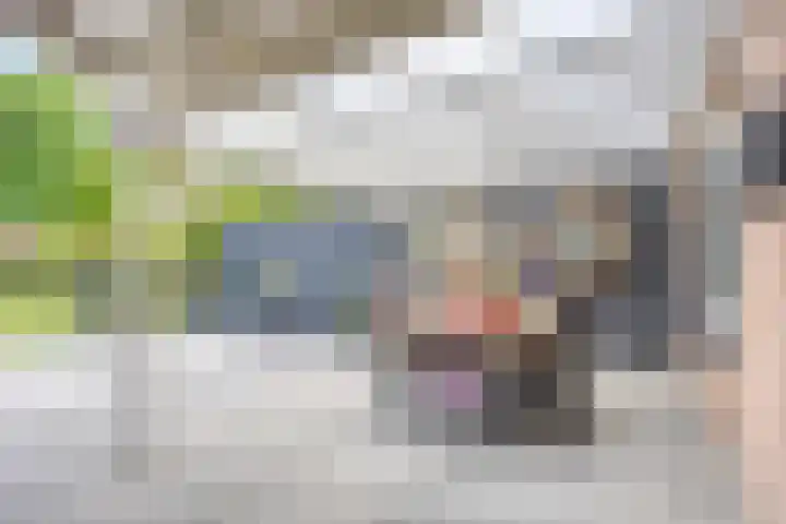 Ouverturestraat 31 Enschede thumbnail 30