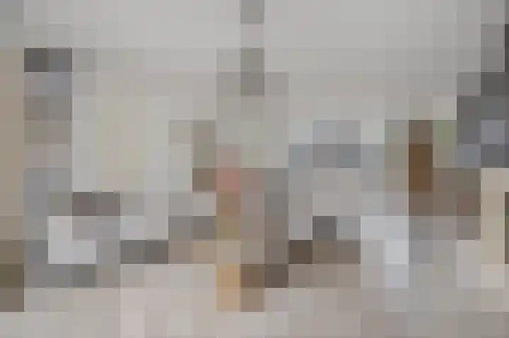 Ouwer 7 Etten-Leur thumbnail 11