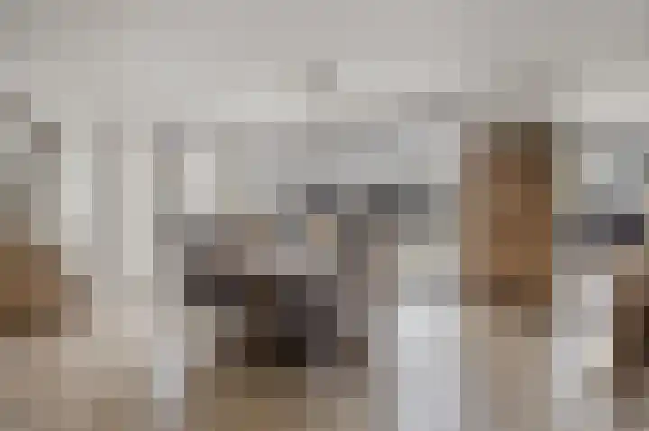 Ouwer 7 Etten-Leur thumbnail 13