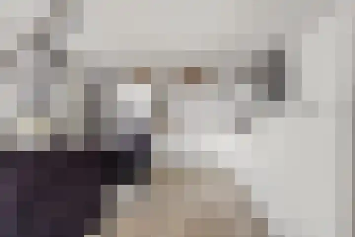 Ouwer 7 Etten-Leur thumbnail 16