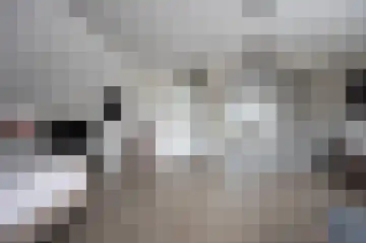 Ouwer 7 Etten-Leur thumbnail 24