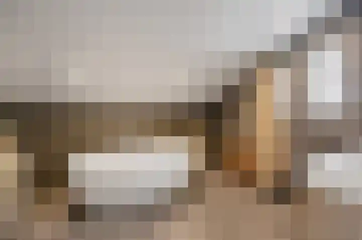 Ouwer 7 Etten-Leur foto 3