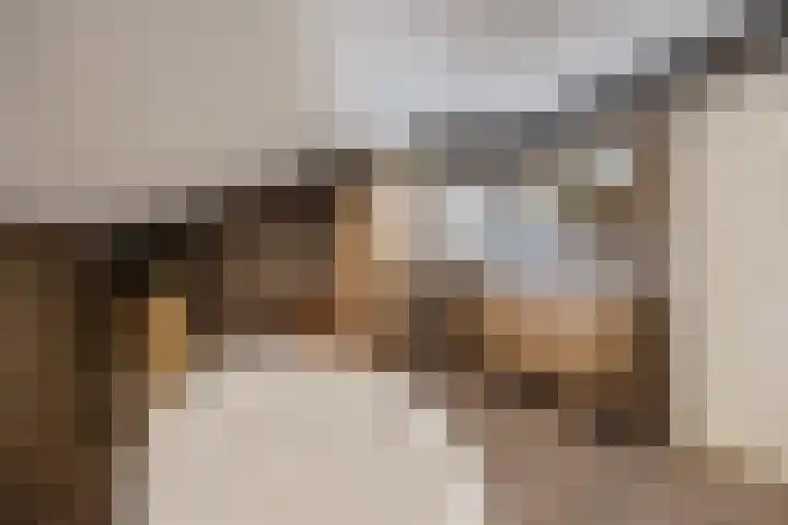 Ouwer 7 Etten-Leur thumbnail 32