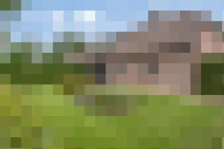 Overakker 11 Mierlo