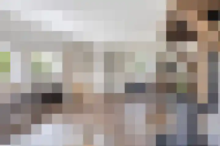 Overakker 11 Mierlo thumbnail 14