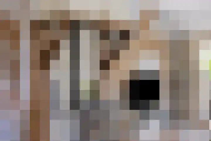 Overakker 11 Mierlo thumbnail 17