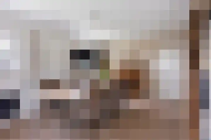 Overakker 11 Mierlo thumbnail 18