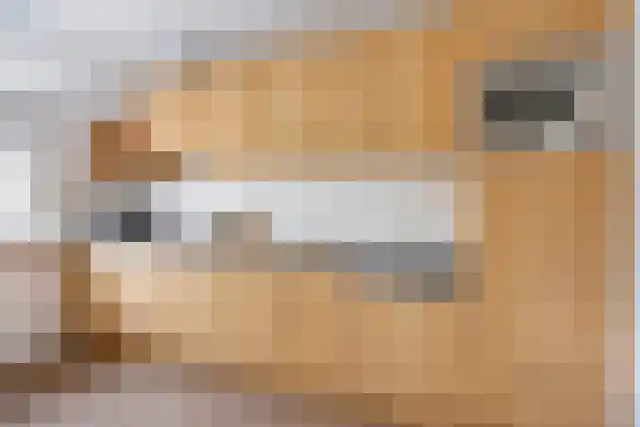 Overakker 11 Mierlo thumbnail 20