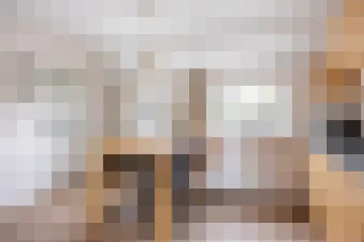Overakker 11 Mierlo thumbnail 21
