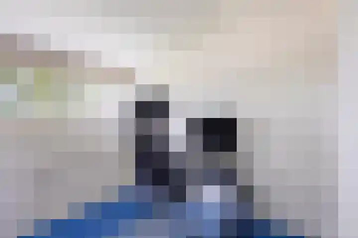 Overakker 11 Mierlo thumbnail 32