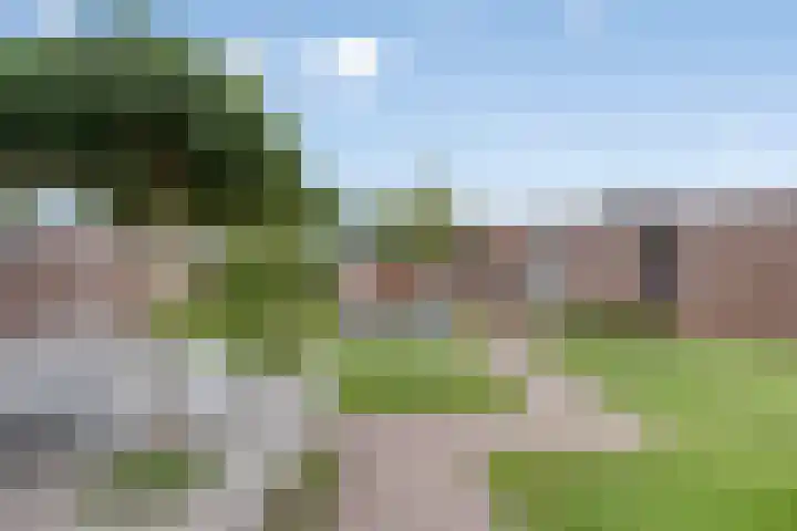 Overakker 11 Mierlo thumbnail 37