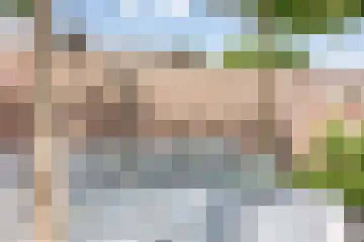 Overakker 11 Mierlo thumbnail 38