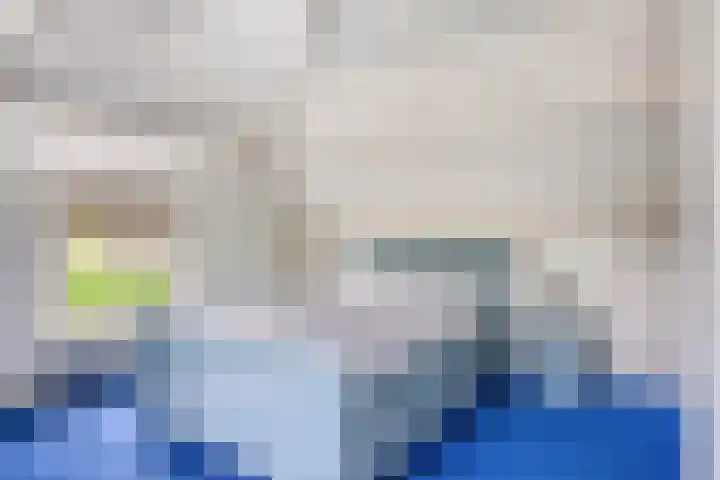 Overakker 11 Mierlo thumbnail 4