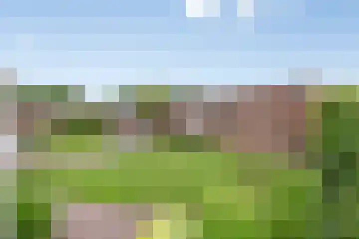 Overakker 11 Mierlo thumbnail 40
