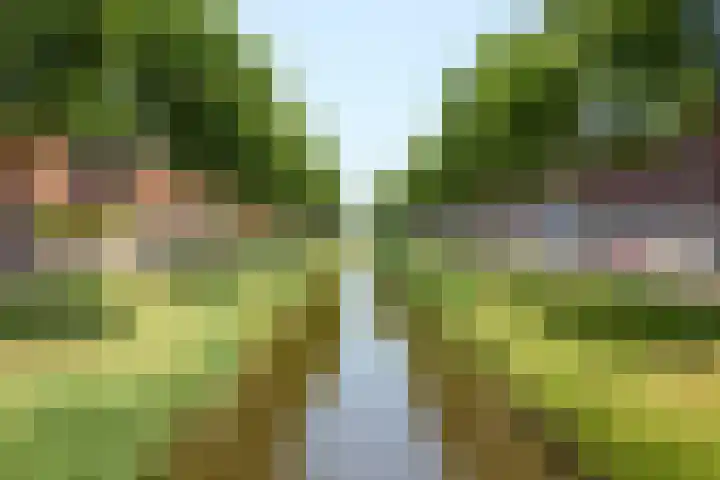 Overbeek 72 Noordwijk thumbnail 5