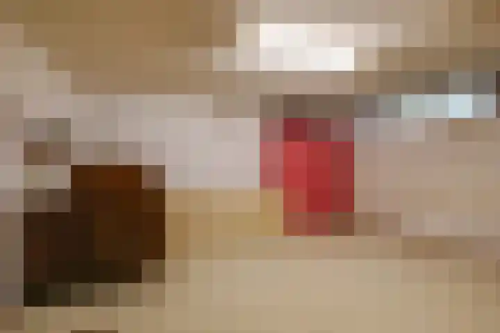 Overbeeksingel 4 Velp thumbnail 34