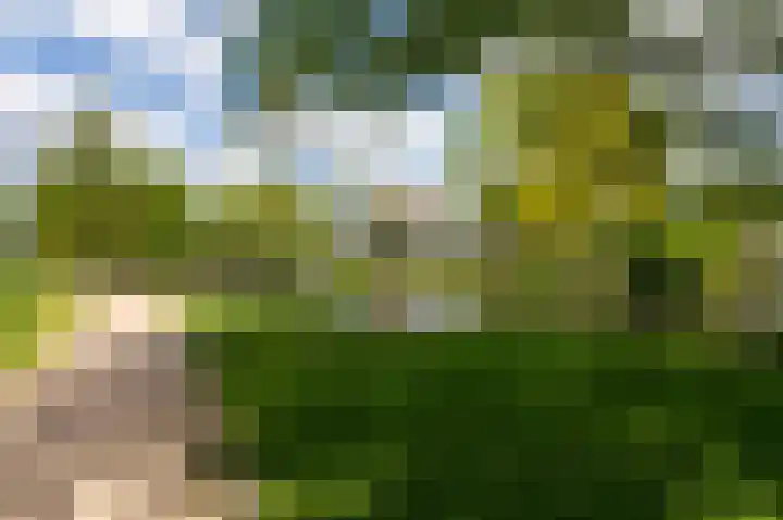 Overbeeksingel 4 Velp thumbnail 42