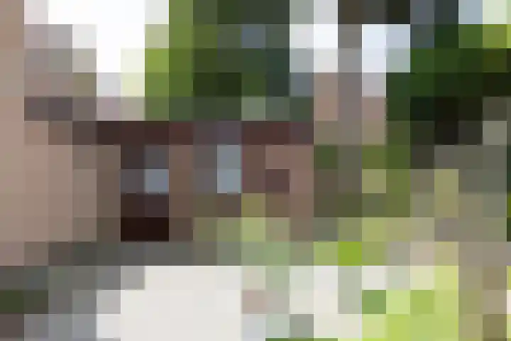 Overbeeksingel 4 Velp thumbnail 47