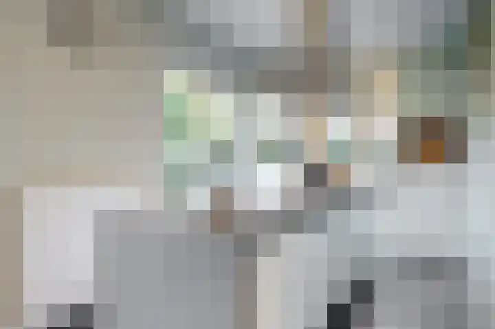 Overboslaan 20 Bilthoven thumbnail 12
