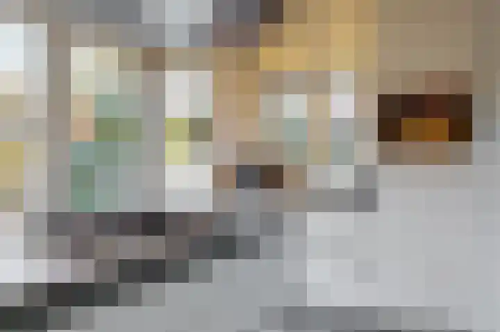 Overboslaan 20 Bilthoven thumbnail 13