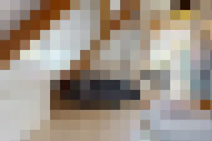 Overboslaan 20 Bilthoven thumbnail 39