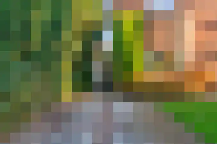 Overboslaan 20 Bilthoven thumbnail 5