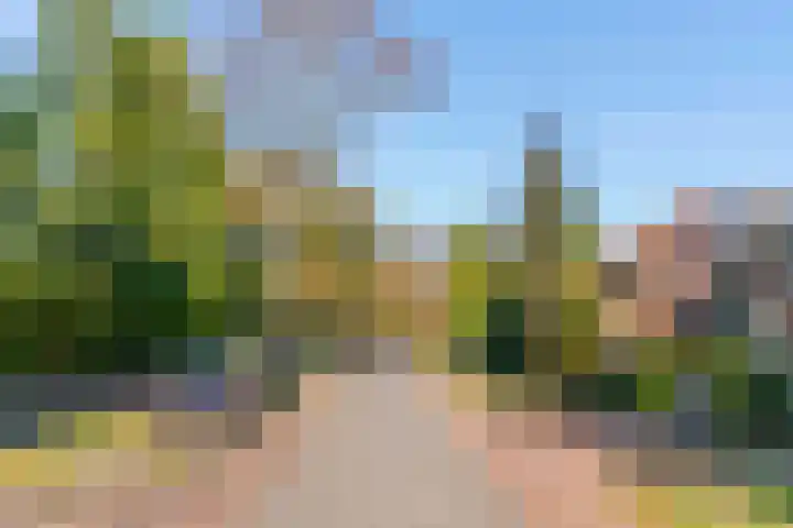 Overboslaan 20 Bilthoven thumbnail 57