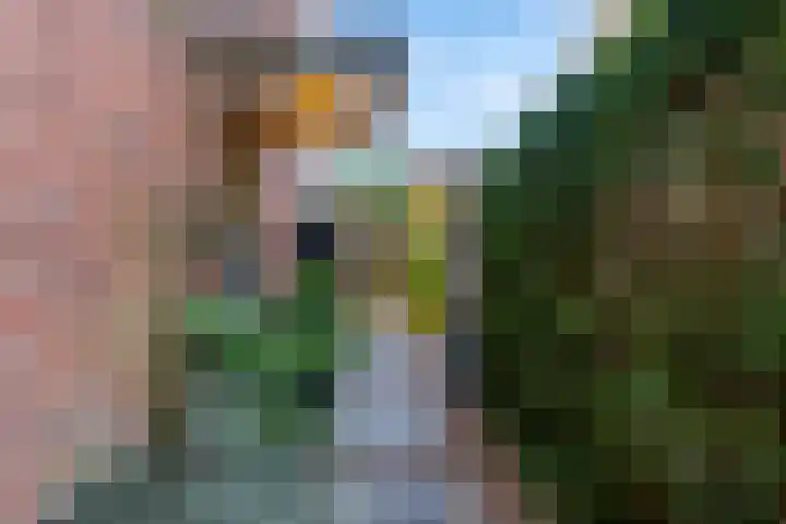Overboslaan 20 Bilthoven thumbnail 6