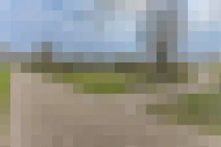 Overboslaan 53 Beverwijk thumbnail 33