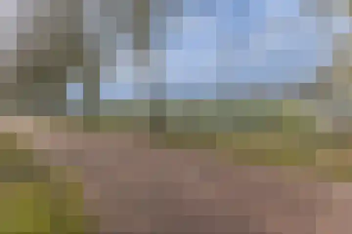 Overboslaan 53 Beverwijk thumbnail 34