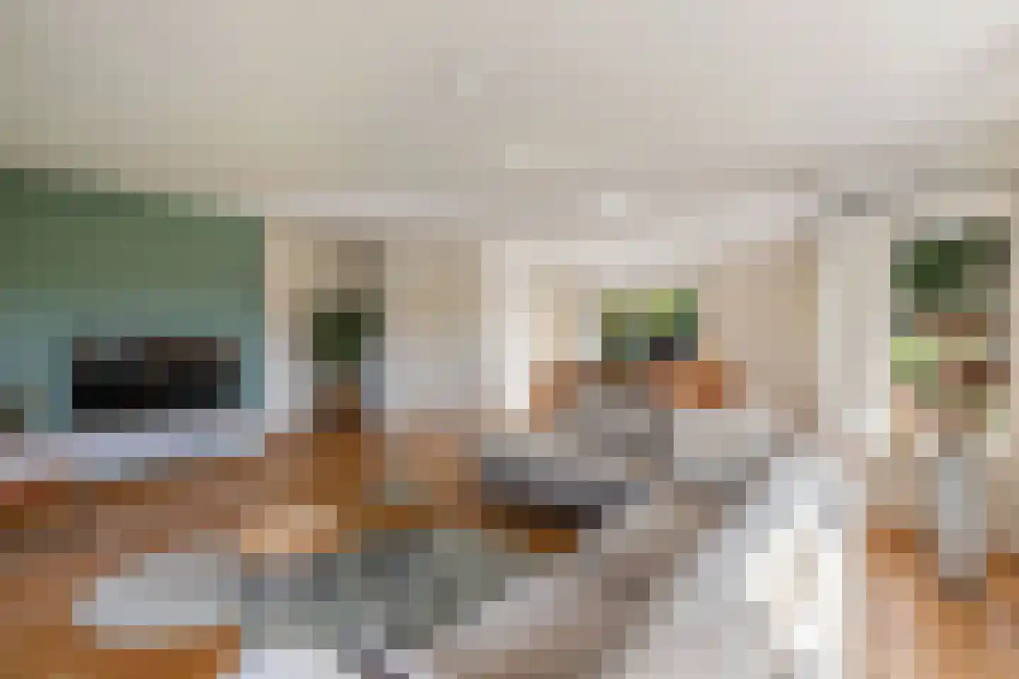 Overburen 17 Peperga thumbnail 15