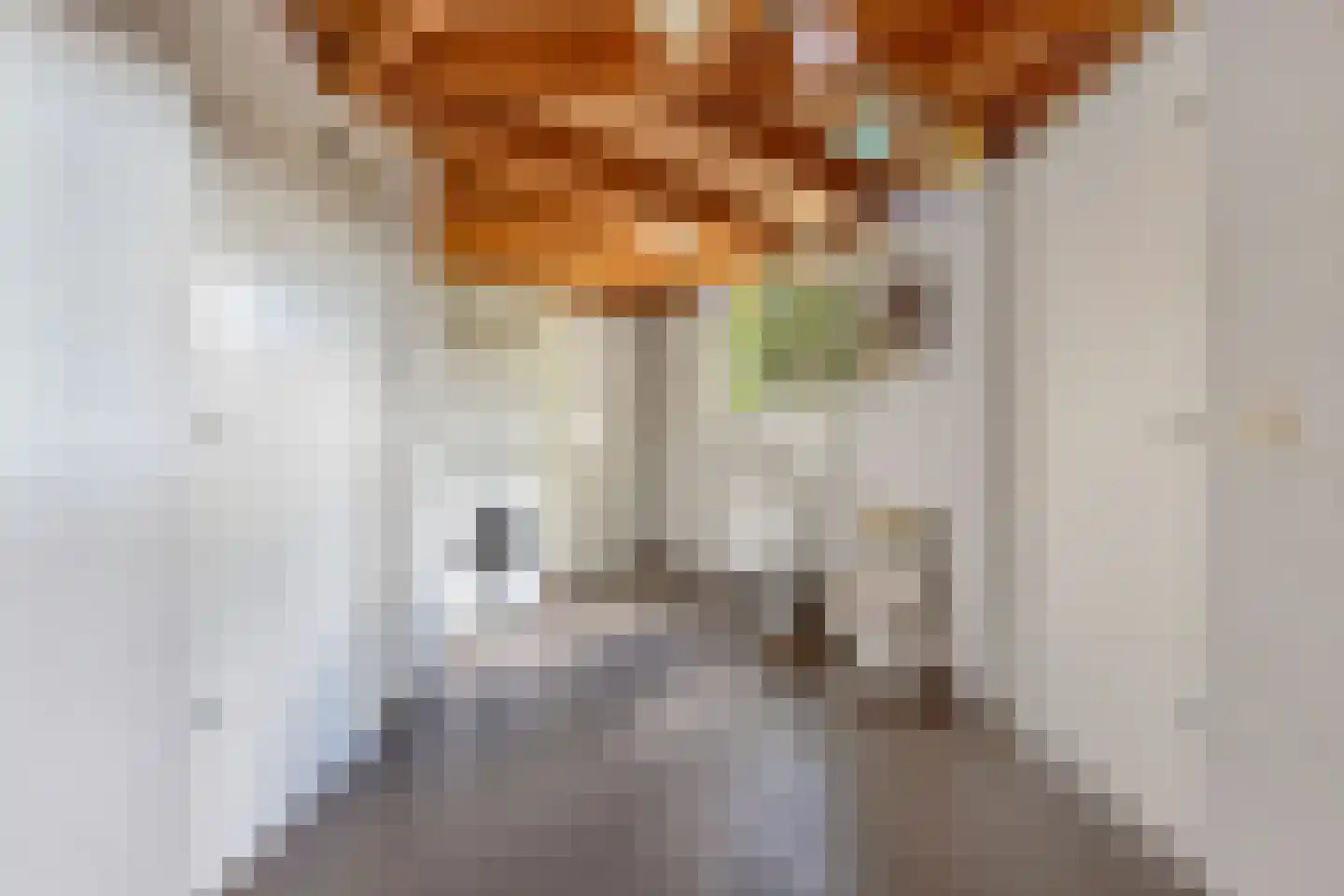Overburen 17 Peperga thumbnail 26