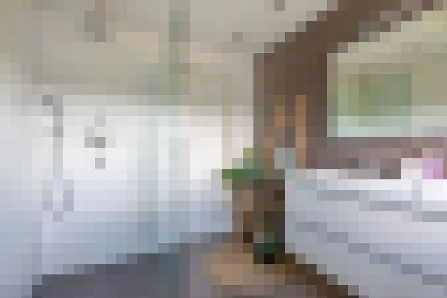 Overburen 17 Peperga thumbnail 31