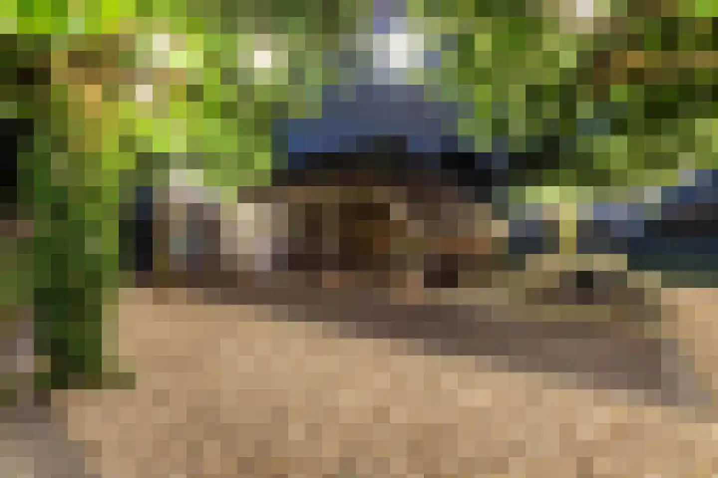 Overburen 17 Peperga thumbnail 43