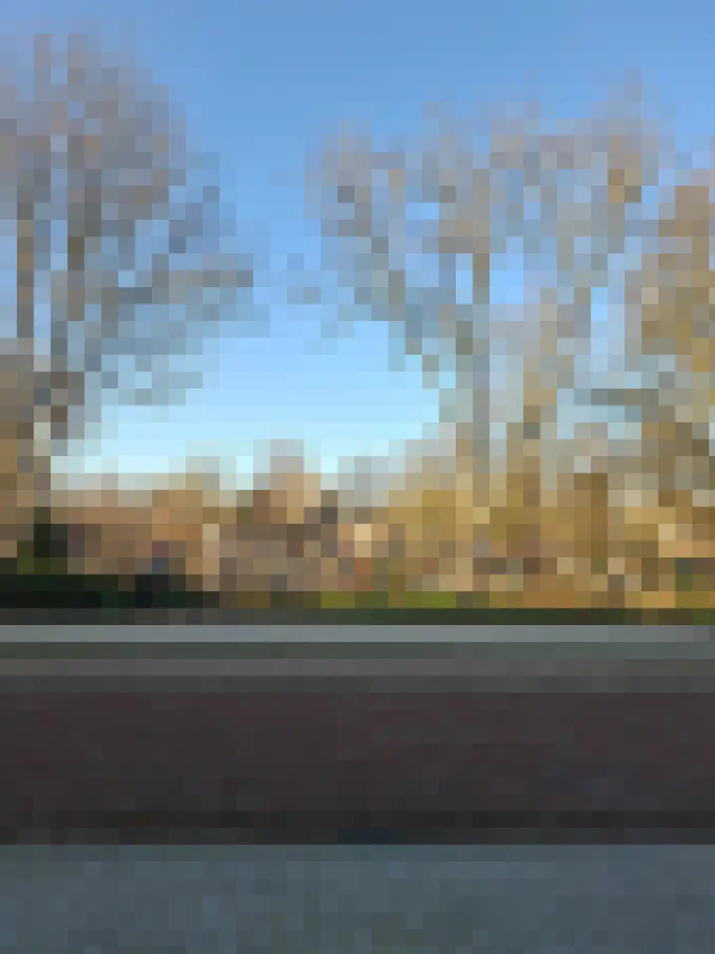 Overdam 7 Amsterdam thumbnail 6