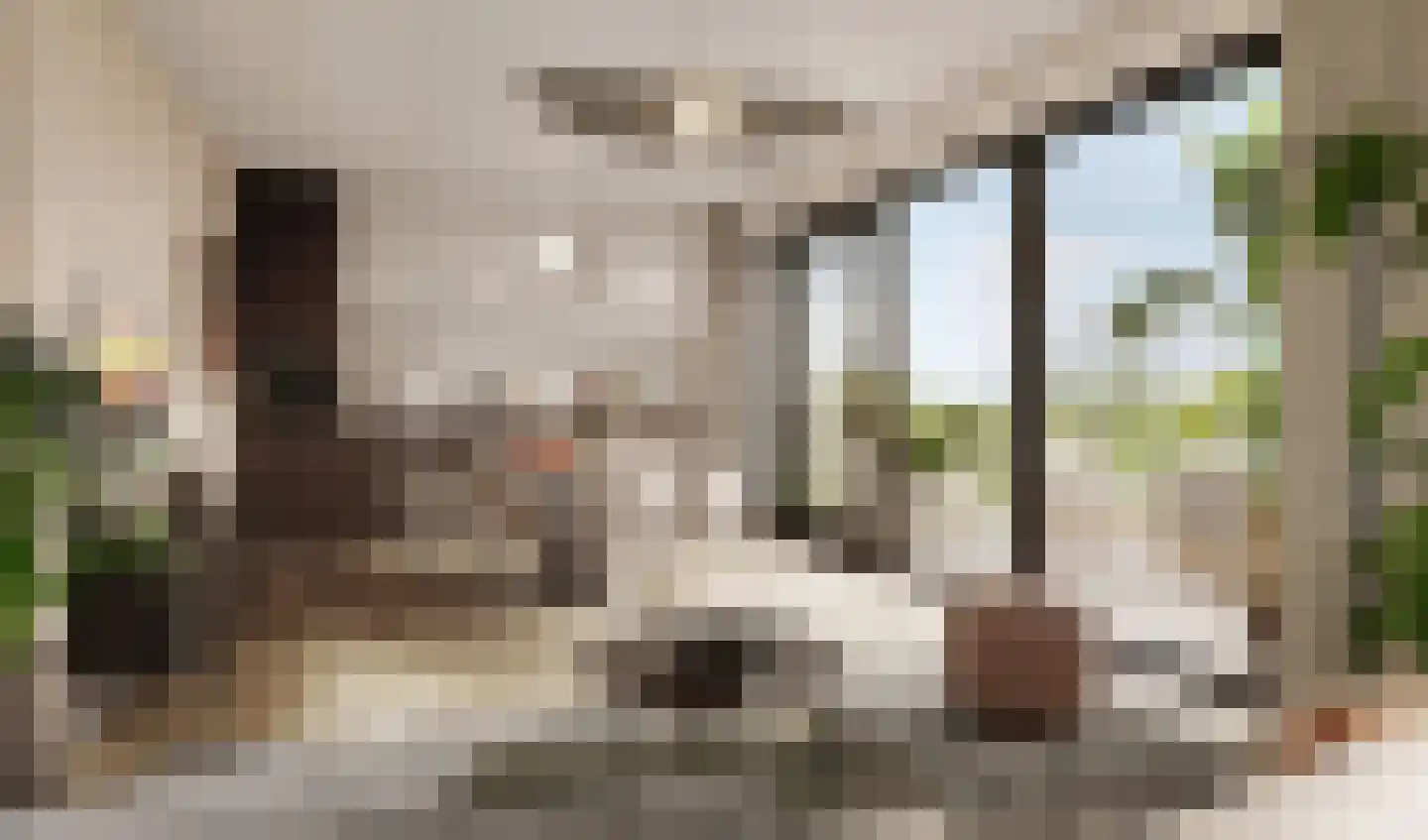 Overdamstraat 5 Hulst thumbnail 10