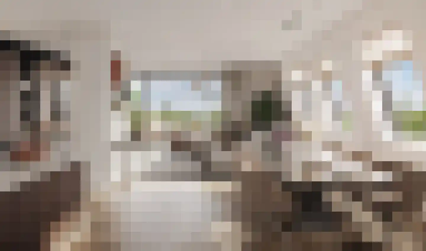 Overdamstraat 5 Hulst thumbnail 11