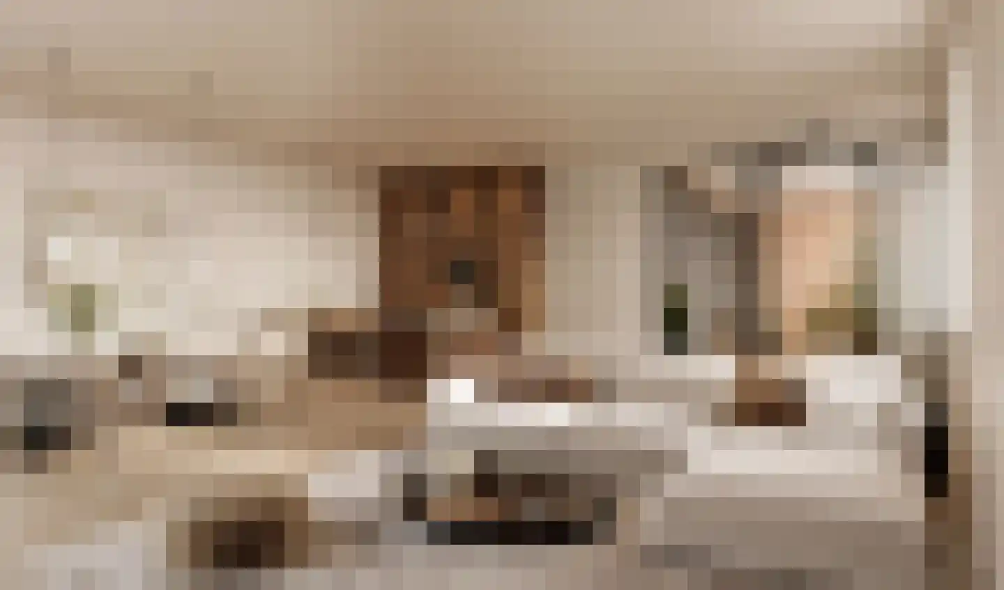 Overdamstraat 5 Hulst thumbnail 12