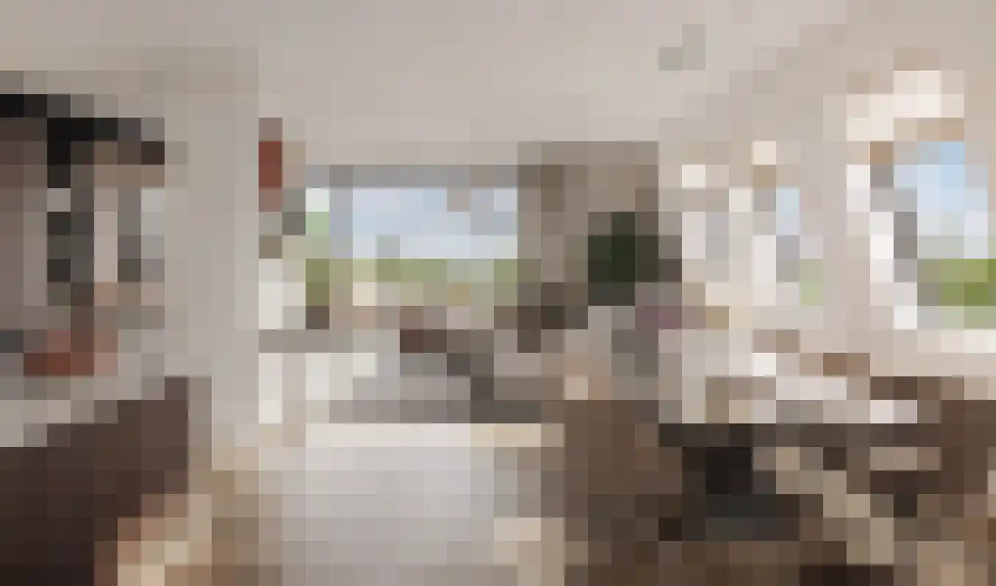 Overdamstraat 7 Hulst thumbnail 11