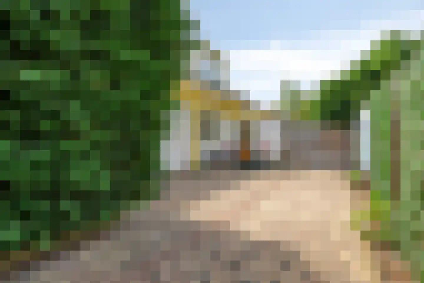 Overgauwseweg 75 Pijnacker thumbnail 4